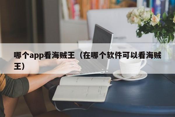 哪个app看海贼王（在哪个软件可以看海贼王）