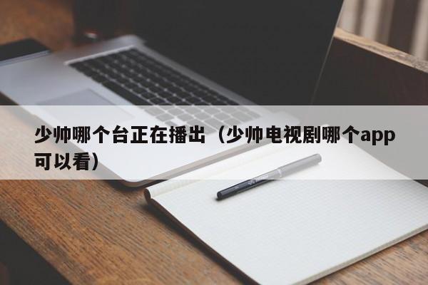 少帅哪个台正在播出（少帅电视剧哪个app可以看）