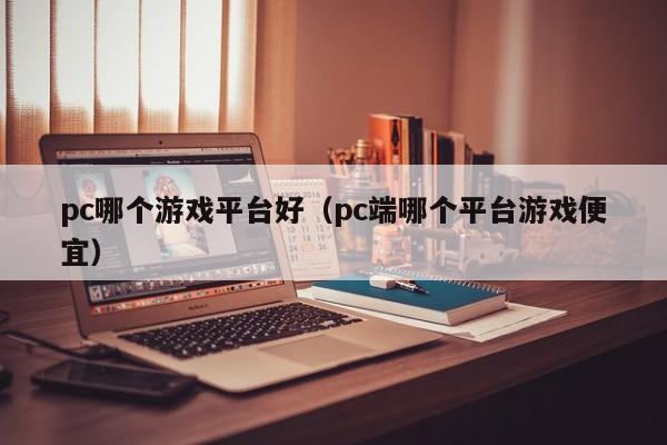 pc哪个游戏平台好（pc端哪个平台游戏便宜）