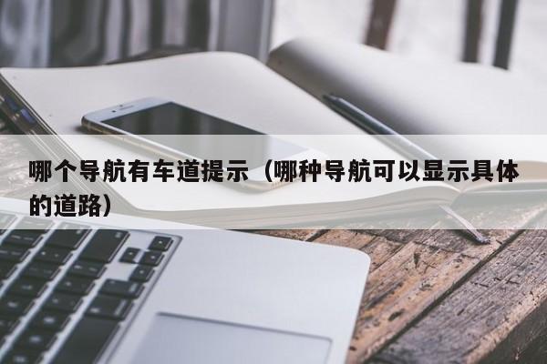 哪个导航有车道提示（哪种导航可以显示具体的道路）